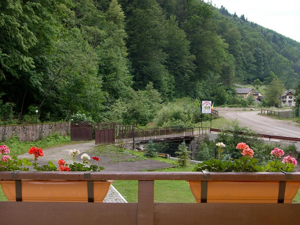Hotel Pensiunea Bobu Izvoru Muntelui Exterior foto